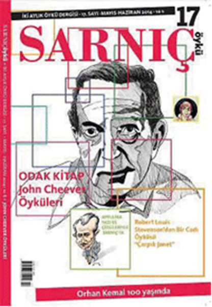 Sarnıç Öykü Dergisi Sayı: 17 kitabı