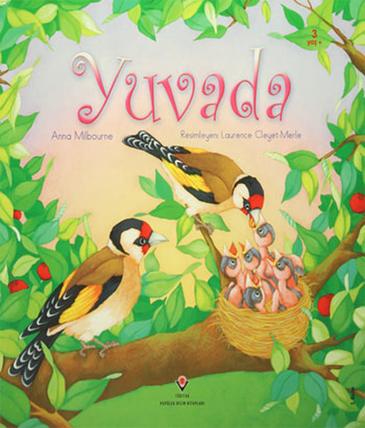 Yuvada kitabı