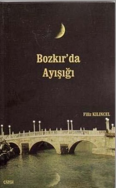 Bozkır'da Ayışığı kitabı