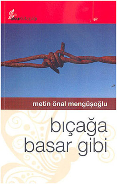 Bıçağa Basar Gibi kitabı