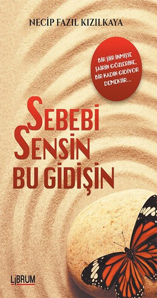 Sebebi Sensin Bu Gidişin kitabı