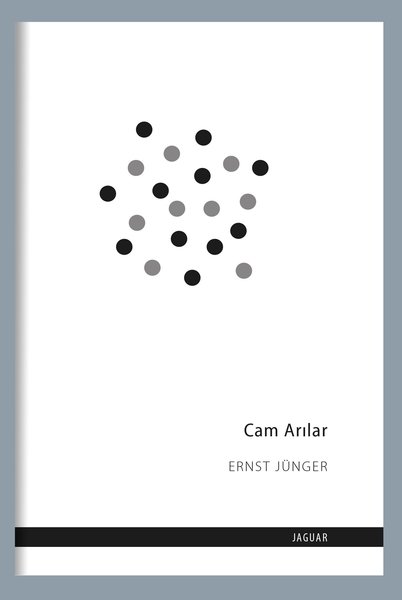 Cam Arılar kitap kapağı