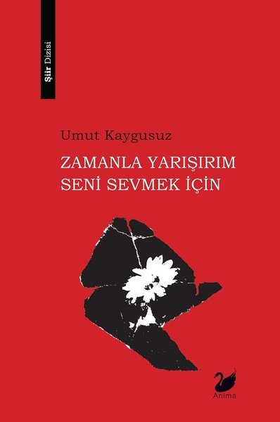 Zamanla Yarışırım Seni Sevmek İçin kitabı