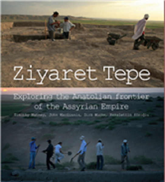 Ziyaret Tepe kitabı