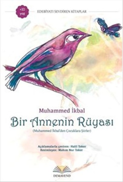 Bir Annenin Rüyası kitabı