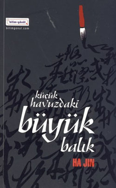 Küçük Havuzdaki Büyük Balık kitabı