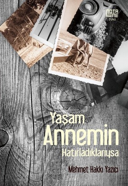 Yaşam Annemin Hatırladıklarıysa kitabı