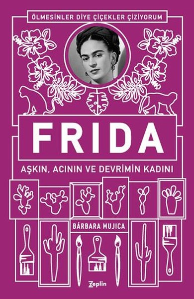 Frida kitabı