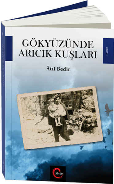 Gökyüzünde Arıcık Kuşları kitabı