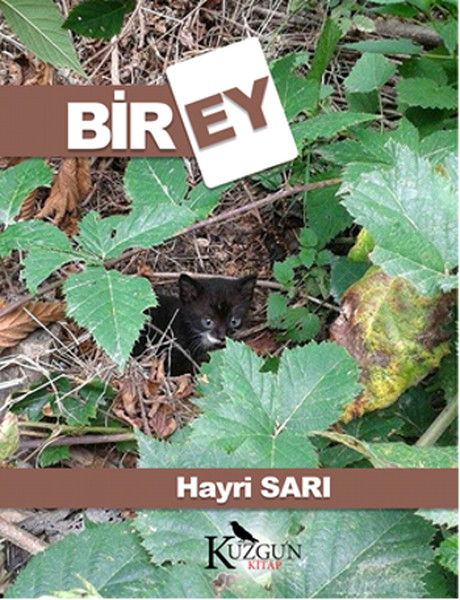 Birey kitabı