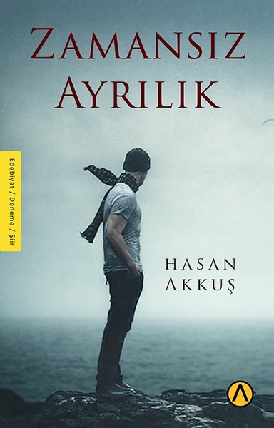 Zamansız Ayrılık kitabı