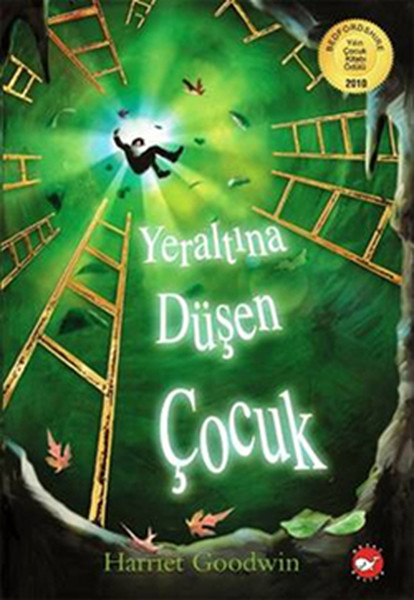 Yeraltına Düşen Çocuk kitabı