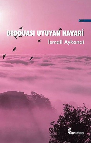 Bedduası Uyuyan Havari kitabı