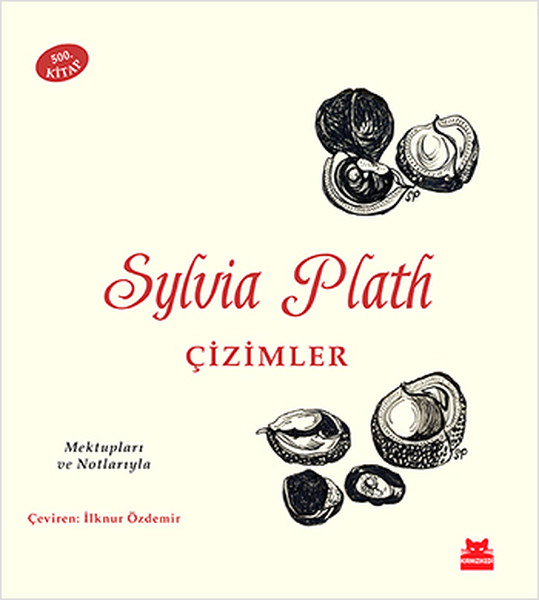 Sylvia Plath - Çizimler kitabı