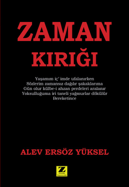Zaman Kırığı kitabı