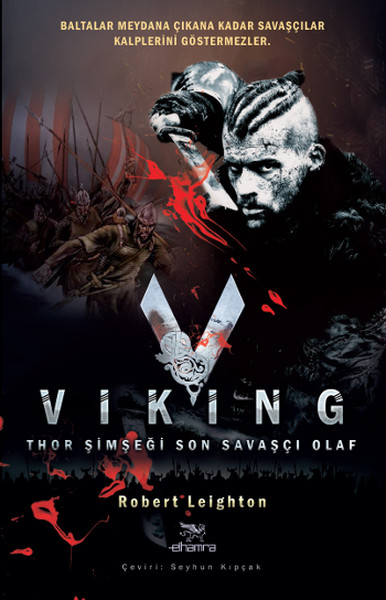 Viking kitabı