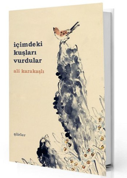 İçimdeki Kuşları Vurdular kitabı