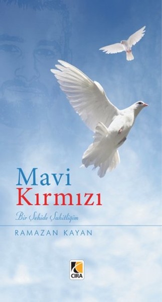 Mavi Kırmızı kitabı