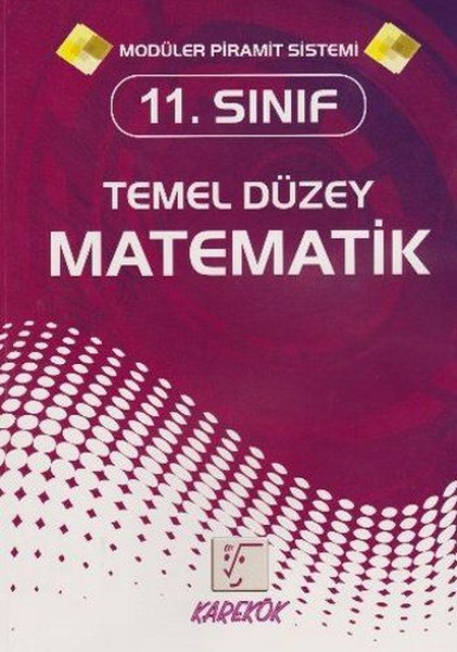 11. Sınıf Temel Düzey Matematik kitabı