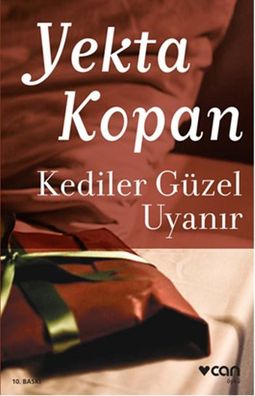 Kediler Güzel Uyanır kitabı