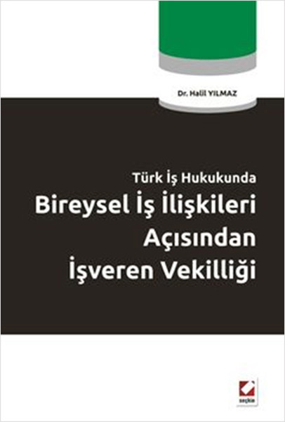 Türk İş Hukukunda Bireysel İş İlişkileri Açısından İşveren Vekilliği kitabı