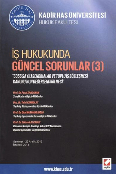 İş Hukukunda Güncel Sorunlar (3)  kitabı