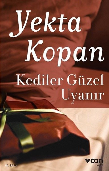 Kediler Güzel Uyanır kitabı