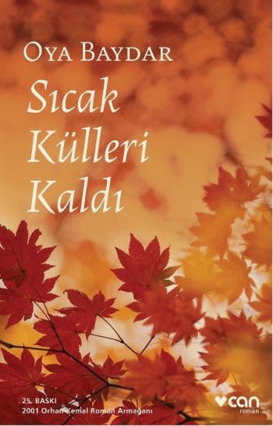 Sıcak Külleri Kaldı kitabı