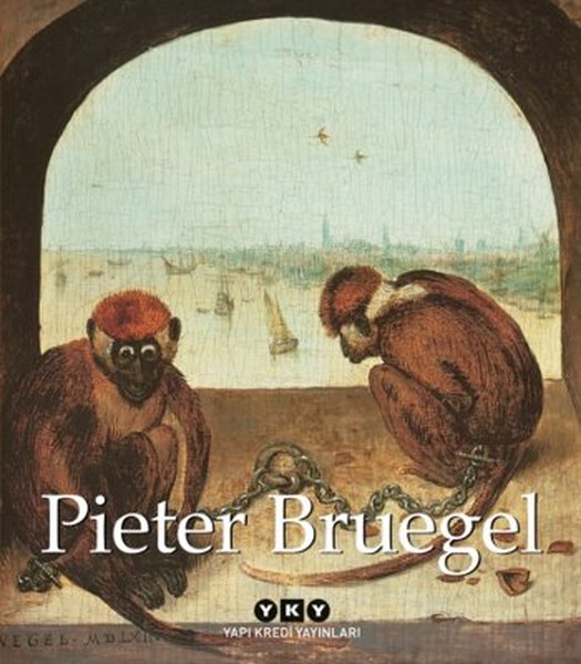 Pieter Bruegel kitabı