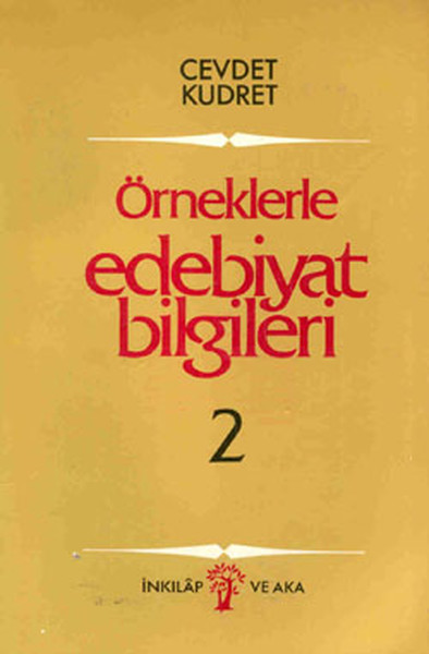 Örneklerle Edebiyat Bilgileri 2 kitabı