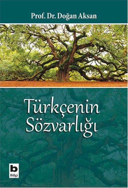 Türkçenin Sözvarlığı kitabı