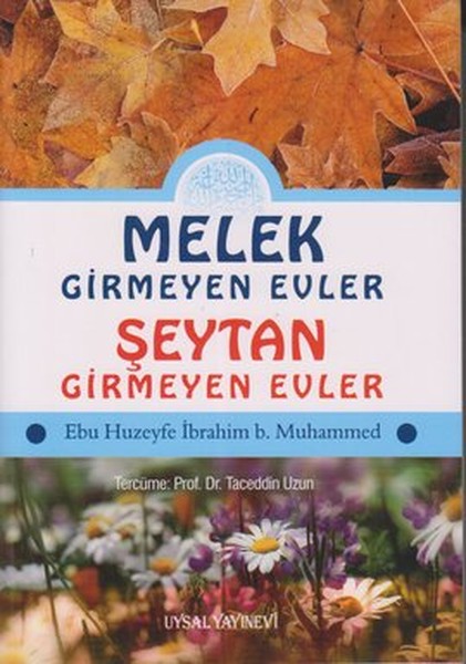 Melek Girmeyen Evler - Şeytan Girmeyen Evler kitabı