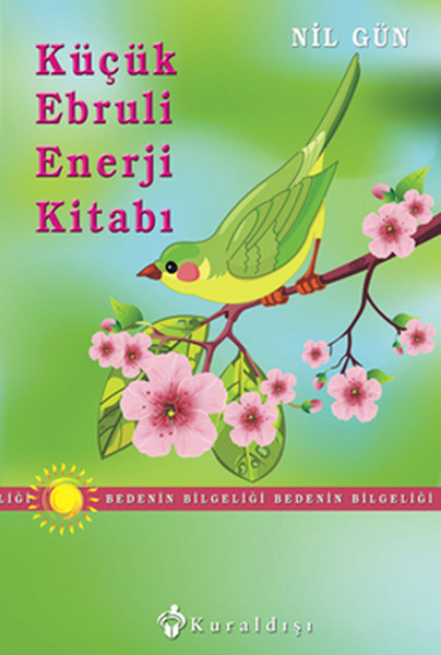 Küçük Ebruli Enerji Kitabı kitabı