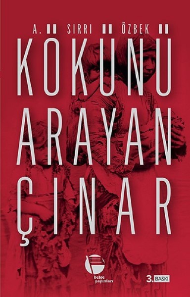 Kökünü Arayan Çınar kitabı