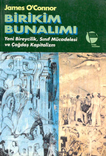 Birikim Bunalımı kitabı