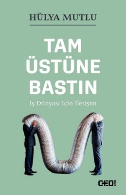 Tam Üstüne Bastın - İş Dünyası İçin İletişim kitabı