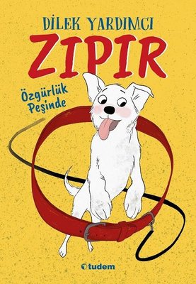 Zıpır Özgürlük Peşinde kitabı