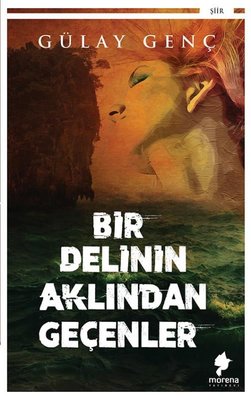 Bir Delinin Aklından Geçenler kitabı