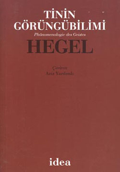 Tinin Görüngübilimi - Hegel kitabı