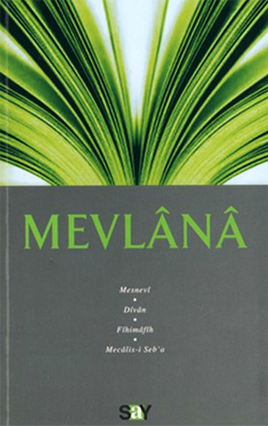 Mevlana kitabı