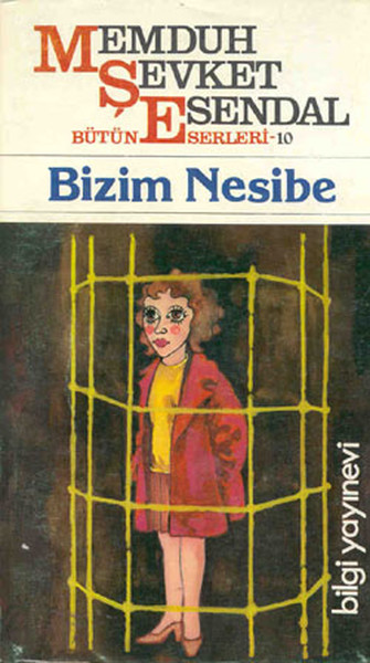 Bizim Nesibe kitabı