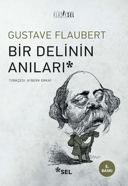 Bir Delinin Anıları kitabı