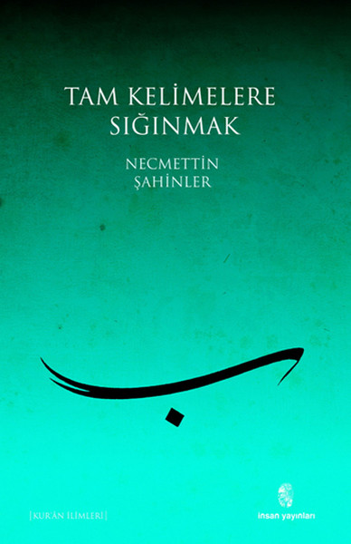 Tam Kelimelere Sığınmak kitabı