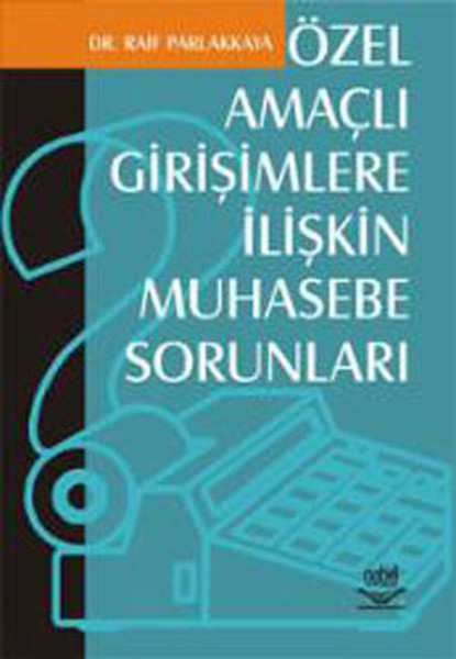 Özel Amaçlı Girişimlere İlişkin Muhasebe Sorunları kitabı