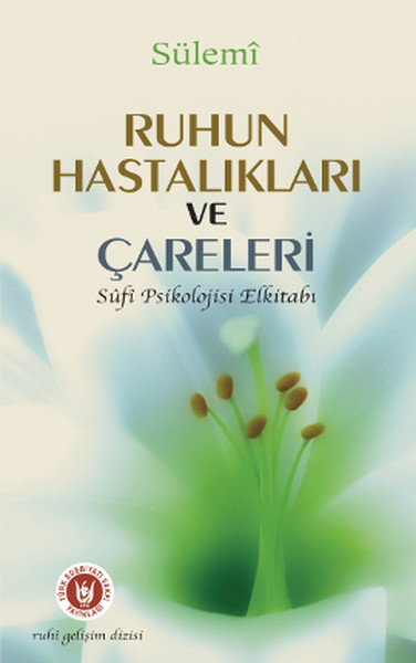 Ruhun Hastalıkları Ve Çareleri kitabı