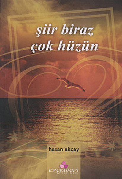 Şiir Biraz Çok Hüzün kitabı