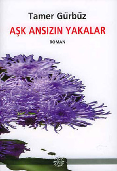 Aşk Ansızın Yakalar kitabı