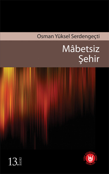 Mabetsiz Şehir kitabı