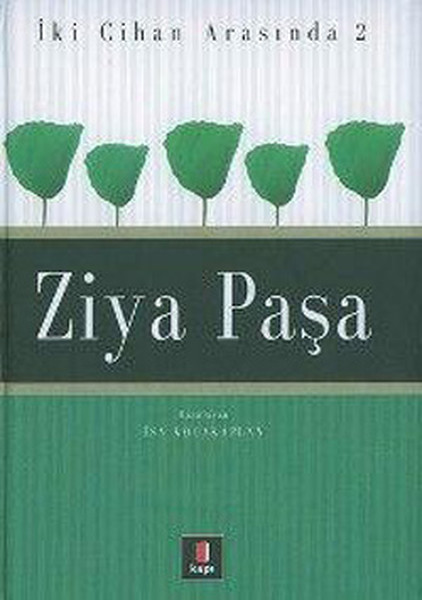 Ziya Paşa İki Cihan Arasında 2 kitabı