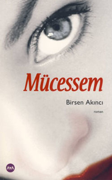 Mücessem kitabı